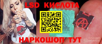 гидропоника Гатчина