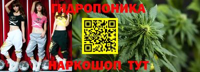 хмурый Гай